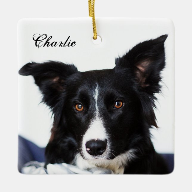 Ornamento De Cerâmica Collie Preto e Branco Personalizado (Frente)