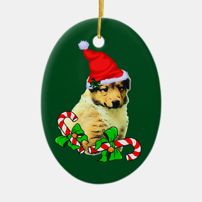 Ornamento De Cerâmica Collie Puppy Christmas (Frente)