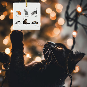 Ornamento De Cerâmica Comandos Cat