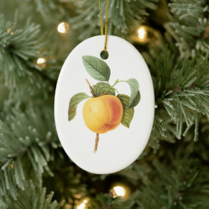 Ornamento De Cerâmica Comida da fruta do vintage, Calville Apple por