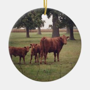 Ornamento De Cerâmica Como Agora Vaca Castanha