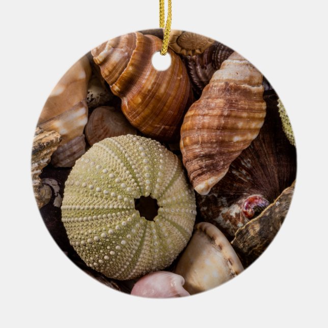 Ornamento De Cerâmica Conchas marítimas (Frente)