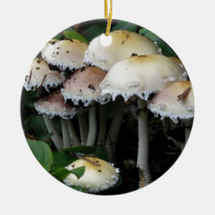 Ornamento De Cerâmica Conjunto do cogumelo - fotografia