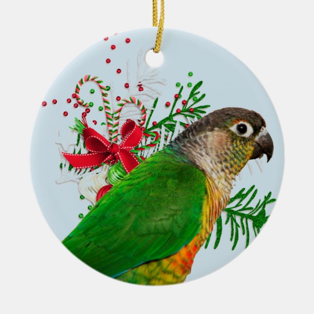 Ornamento De Cerâmica Conure aquece os feriados (Frente)