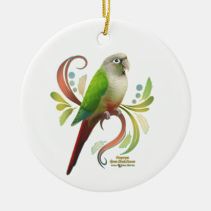 Ornamento De Cerâmica Conure Cinnamon Green Cheek