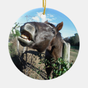 Ornamento De Cerâmica Conversando Cavalo Marrom