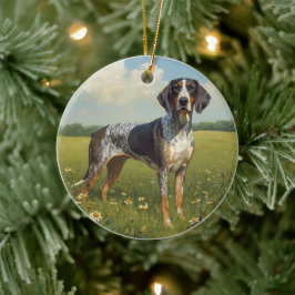 Ornamento De Cerâmica Coonhound Bluetick