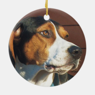 Ornamento De Cerâmica Coonhound do caminhante de Treeing