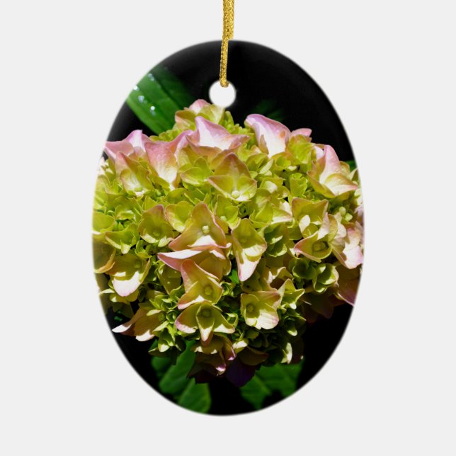 Ornamento De Cerâmica Cor-de-rosa verde Hidrangea flor rosa amarela (Frente)