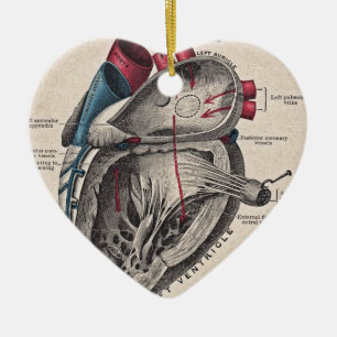 Ornamento De Cerâmica Coração anatômico do vintage