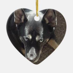 Ornamento De Cerâmica Coração de Fotografias de Cão Personalizado com