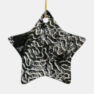 Ornamento De Cerâmica Coral Preto e Branco I Foto Abstrata da Natureza
