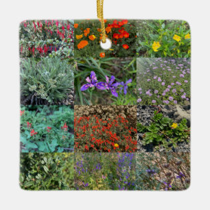 Ornamento De Cerâmica Cores Nativas da Califórnia 2020