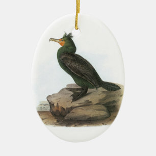 Ornamento De Cerâmica Cormorante com cremento duplo de Audubon