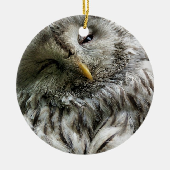 ORNAMENTO DE CERÂMICA CORUJA (Frente)