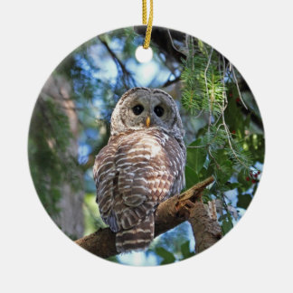 Ornamento De Cerâmica Coruja barrada na floresta