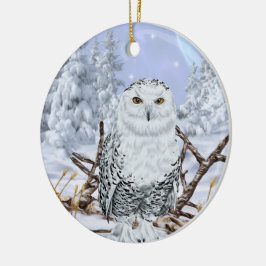 Ornamento De Cerâmica Coruja da Neve na Neve