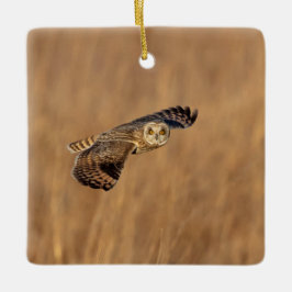 Ornamento De Cerâmica Coruja-de-orelha-curta em voo nos prados