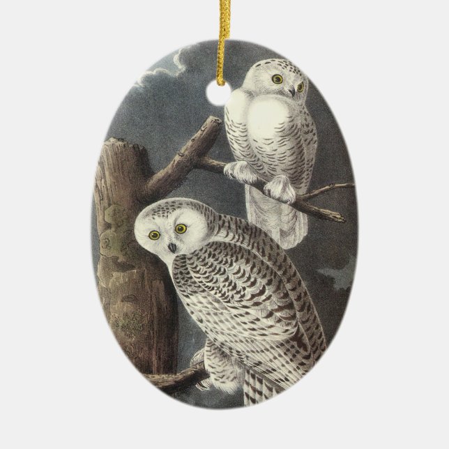 Ornamento De Cerâmica Coruja nevado, John Audubon (Frente)