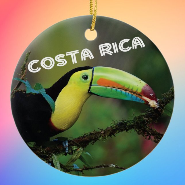 Ornamento De Cerâmica Costa Rica Toucan (Criador carregado)
