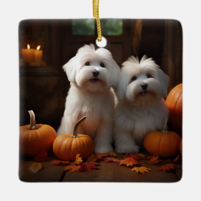 Ornamento De Cerâmica Coton De Tulear Puppy Autumn Delight Pumpkin (Frente)