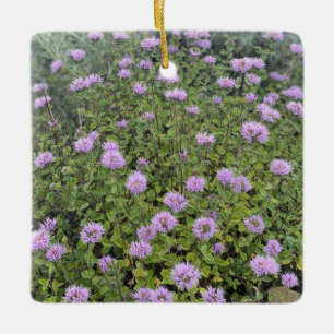 Ornamento De Cerâmica Coyote Mint