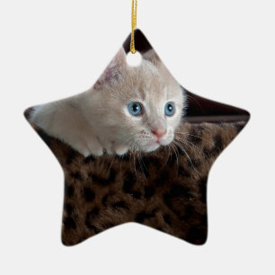 Ornamento De Cerâmica Creme Kitten com Belos Olhos Azuis