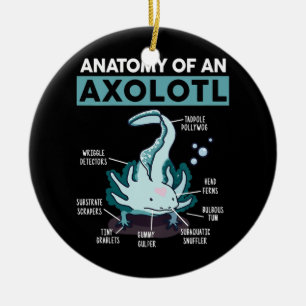 Ornamento De Cerâmica Crianças Anatômicas De Um Peixe Andando Axolotl Me