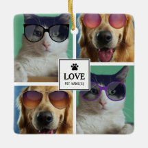 Crie A Sua Própria Colagem Fotográfica De 4 Pet