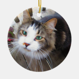 Ornamento De Cerâmica Crie Facilmente A Sua Própria Adição de 2 Fotograf