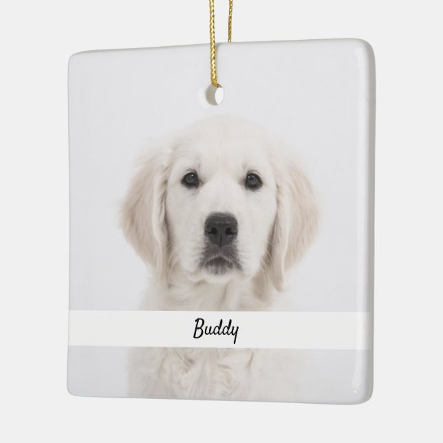 Ornamento De Cerâmica Crie suas memórias de animais de estimação mantend (Esquerda)