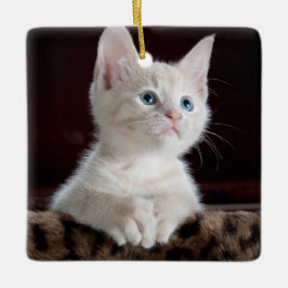 Ornamento De Cerâmica Cristóvão Branco Vulnerável