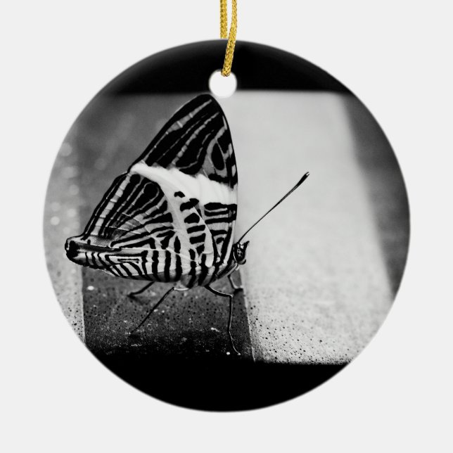 Ornamento De Cerâmica cruzamento de borboleta (Frente)