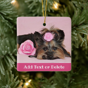 Ornamento De Cerâmica Cupido de Yorkie-branco personalizado com rosas ro