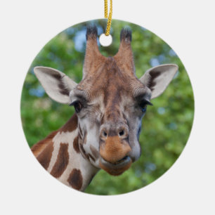 Ornamento De Cerâmica Curios Giraffe