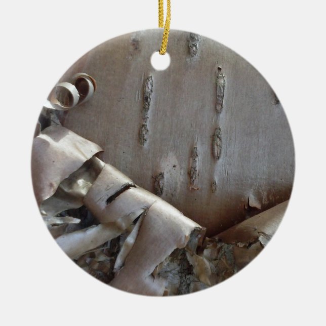 Ornamento De Cerâmica Curly Birch Bark Tree Rustic Ornament (Frente)