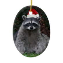 Cute Raccoon Vestindo Feriado Vermelho Santa Hat