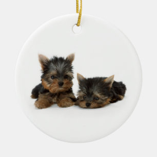 Ornamento De Cerâmica Cute Yorkshire Terrier cachorrinhos