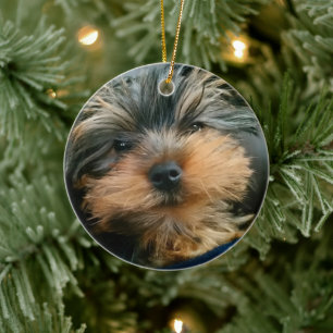 Ornamento De Cerâmica Cute Yorkshire Terrier Yorkie Puppy Cão