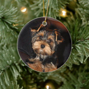 Ornamento De Cerâmica Cute Yorkshire Terrier Yorkie Puppy Cão
