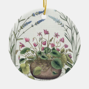 Ornamento De Cerâmica Cyclamen e lavanda: 1.Cyclamen Romanum; 2.Spica