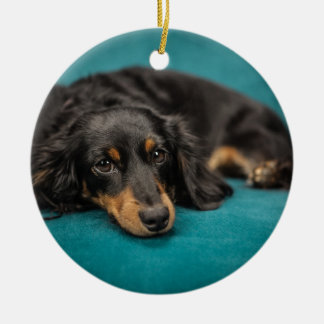 Ornamento De Cerâmica Dachshund bonito que estabelece