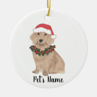Dachshund Personalizado (Cabelo Longo, Vermelho)