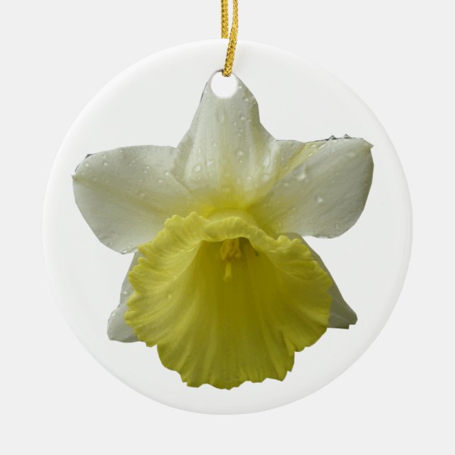 Ornamento De Cerâmica Daffodil Flor Ornament (Frente)