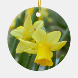 Ornamento De Cerâmica Daffodilo