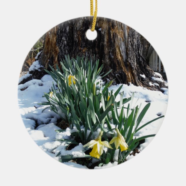 Ornamento De Cerâmica Daffodilos amarelos na neve (Frente)