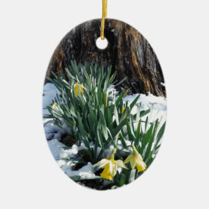Ornamento De Cerâmica Daffodilos amarelos na neve