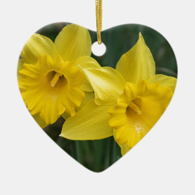 Ornamento De Cerâmica daffodils (Frente)