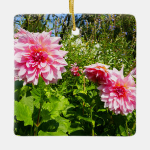 Ornamento De Cerâmica Dahlias cor-de-rosa (Thrill de Otto)