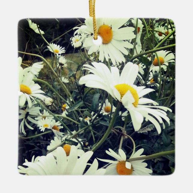 Ornamento De Cerâmica Daisies (Frente)